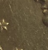 1895-$10-Gold-Eagle